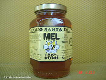 Mel de Eucalipto e Assapeixe - 500g